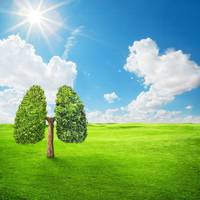 5 Most Efficient Purifiers For Personal Needs