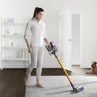 7 Best Handheld Vacuum Cleaners For Pet Hair