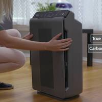Best 3 Air Purifiers For The Value
