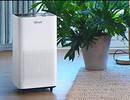 Levoit Air Purifiers Compared: LV-H134 vs. LV-H135