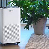 Levoit Air Purifiers Compared: LV-H134 vs. LV-H135