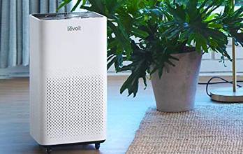 Levoit Air Purifiers Compared: LV-H134 vs. LV-H135