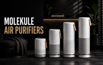 Molekule Air Purifiers Compared: Are They Still Worth Buying?
