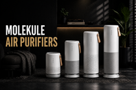 Molekule Air Purifiers Compared: Are They Still Worth Buying?