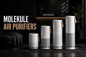 Molekule Air Purifiers Compared: Are They Still Worth Buying?