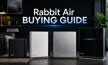 Rabbit Air Buying Guide