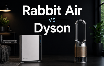 Rabbit Air vs Dyson