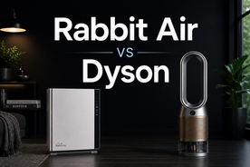 Rabbit Air vs Dyson