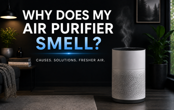 Why Does My Air Purifier Smell? Causes and Fixes