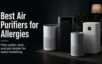 Best Air Purifiers for Allergies