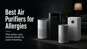 Best Air Purifiers for Allergies
