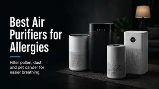 Best Air Purifiers for Allergies