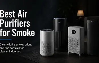 Best Air Purifiers for Smoke