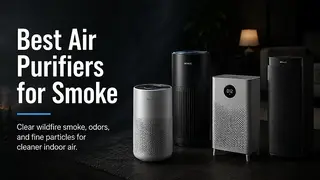 Best Air Purifiers for Smoke
