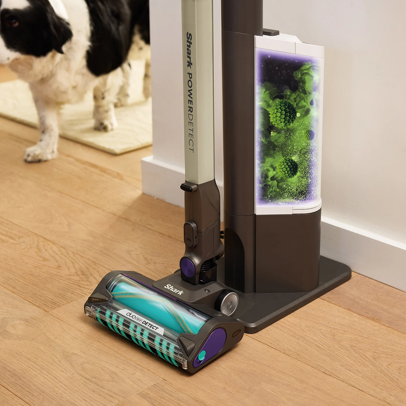 Best Shark Vacuums with Self-Empty Stations in 2026