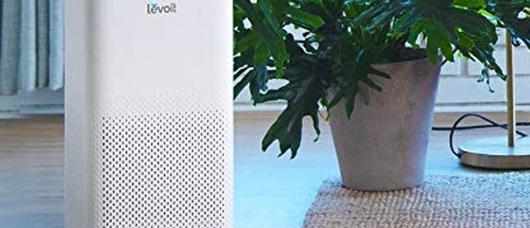 Levoit Air Purifiers Compared: LV-H134 vs. LV-H135